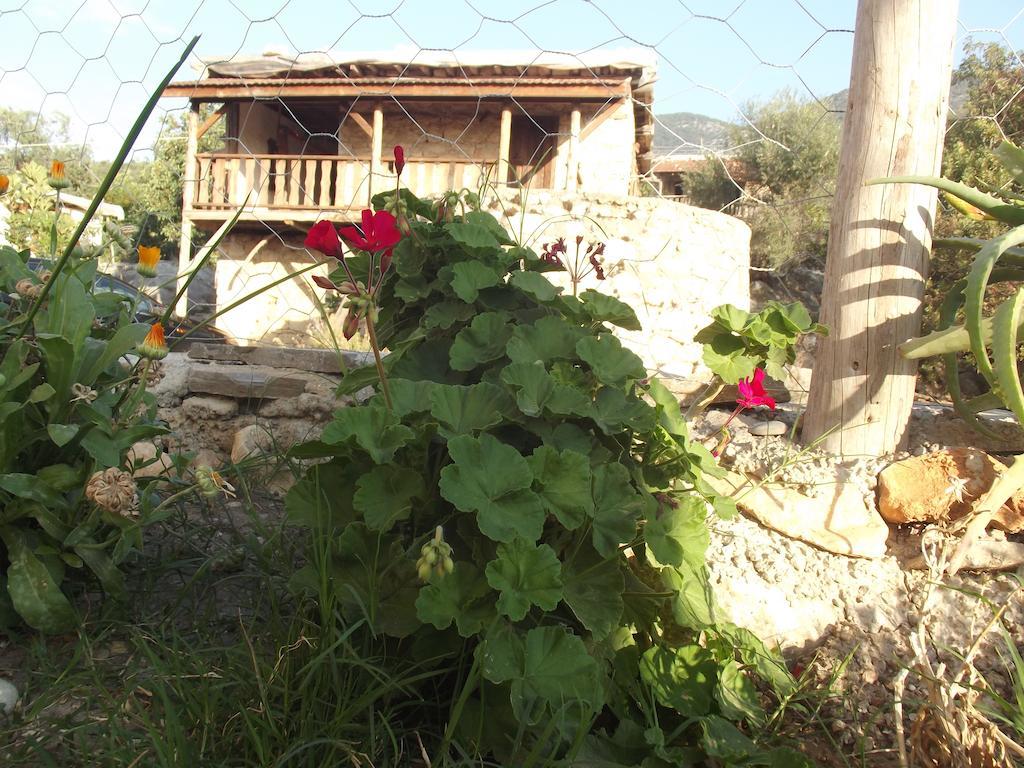 Penzion Beymelek Tas Evler Demre Exteriér fotografie