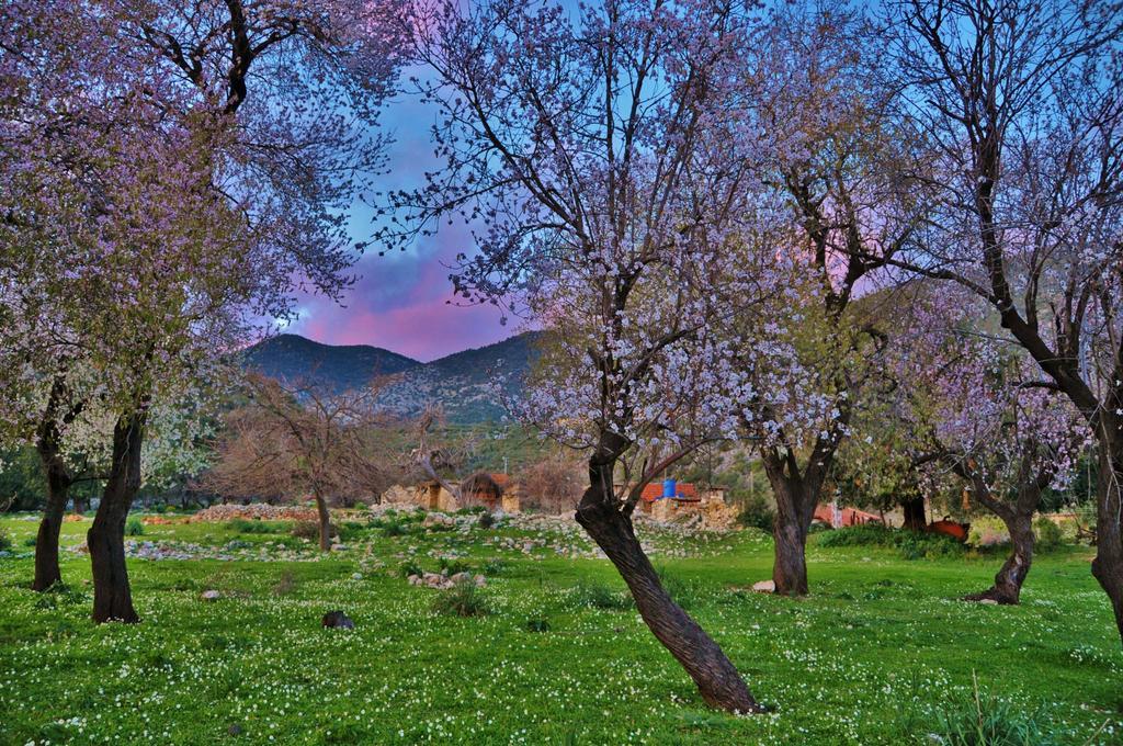 Penzion Beymelek Tas Evler Demre Exteriér fotografie